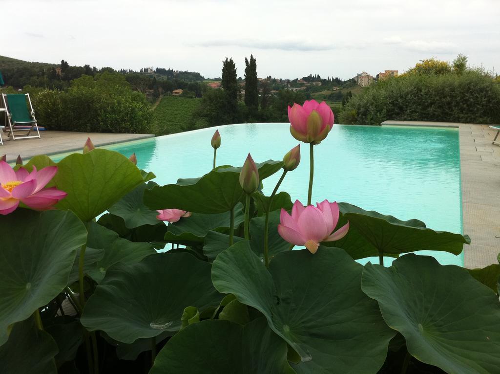 Agriturismo Raccianello San Gimignano Ngoại thất bức ảnh