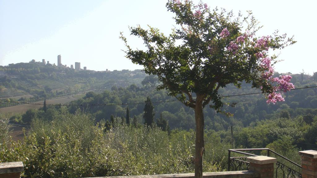 Agriturismo Raccianello San Gimignano Ngoại thất bức ảnh